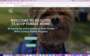 https://healthyteacupyorkiehome.com/  screenshot